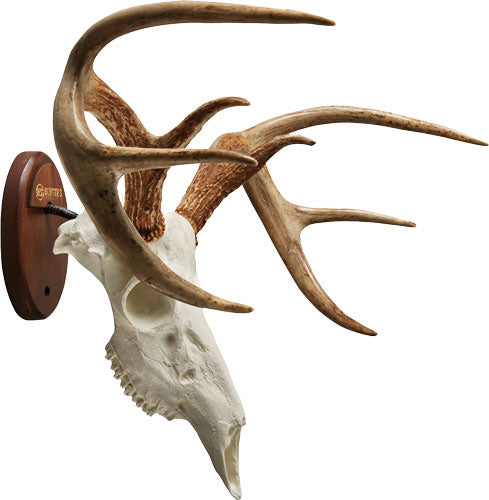 HS EURO FULL SKULL ANTLER