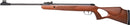 BL DIANA AIR RIFLE 250 .22