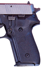 HOGUE GRIPS SIGARMS P228 &