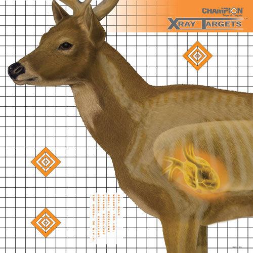 CHAMPION X-RAY TARGET DEER