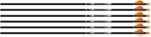 EASTON ARROW AFTERMATH 6MM 340