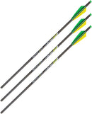 ALLEN XBOW ARROW 22" CX600 3"