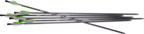 BENJAMIN ARROWS PIONEER AIRBOW