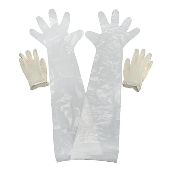 FIELD DRESSING GLOVES 12PK