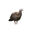 AVIAN X LCD - BREEDER TURKEY DECOY