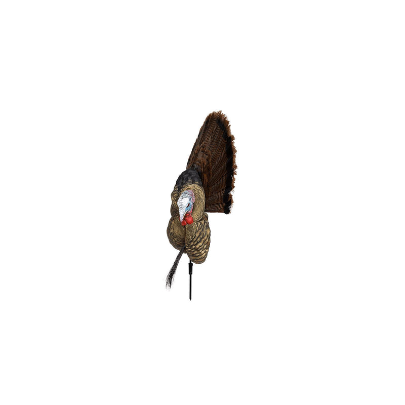 AVIAN X TROPHY TOM