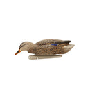 AVIAN X TOP FLIGHT FUSION PACK MALLARD