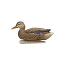 AVIAN X TOP FLIGHT FUSION PACK MALLARD