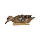 AVIAN X TOP FLIGHT BLUE WING TEAL
