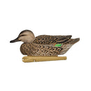 AVIAN X TOP FLIGHT GREEN WING TEAL