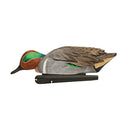 AVIAN X TOP FLIGHT GREEN WING TEAL