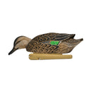 AVIAN X TOP FLIGHT GREEN WING TEAL