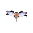 AVIAN X SPINNING WING DOVE