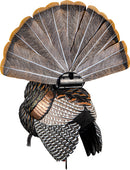 AVIAN X HDR STRUTTER DECOY