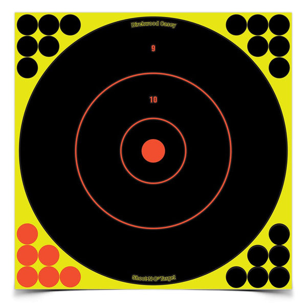 SHOOT-N-C 12" BULL'S-EYE TARGET - 100 SHEET PACK