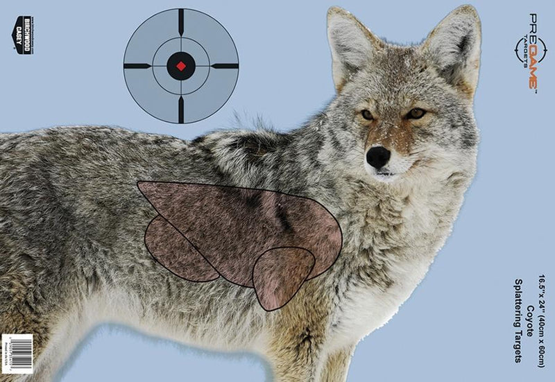 PREGAME 16.5? X 24? COYOTE TARGET - 3-PK