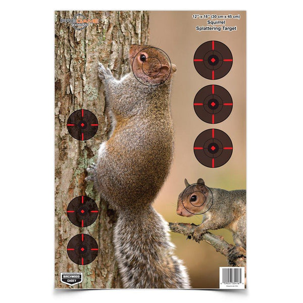 PREGAME 12? X 18 SQUIRREL TARGET - 8-PK