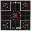 PSI100 DRTY BRD 12IN SIGHT IN TGT 100PK