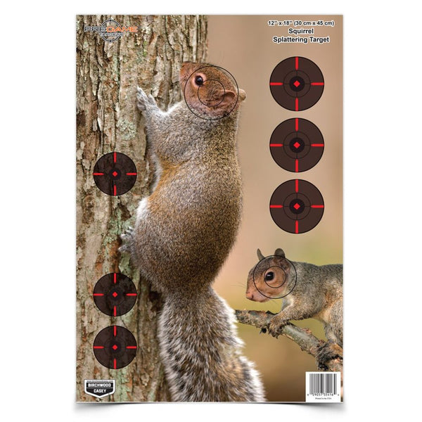 PREGAME 12X18IN SQUIRREL 8PK