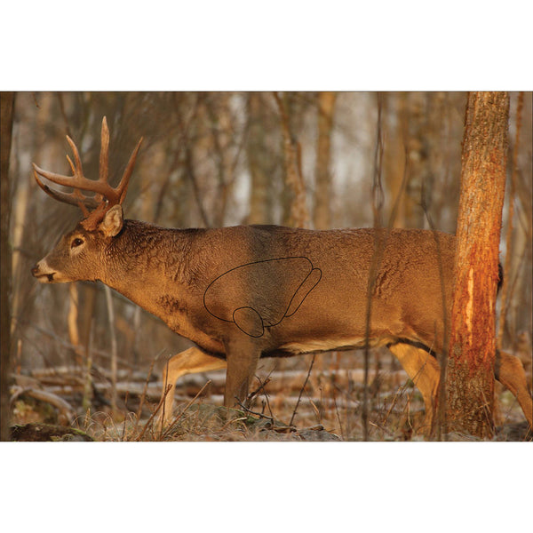 EZE-SCOR DEER 23X35IN 2PK