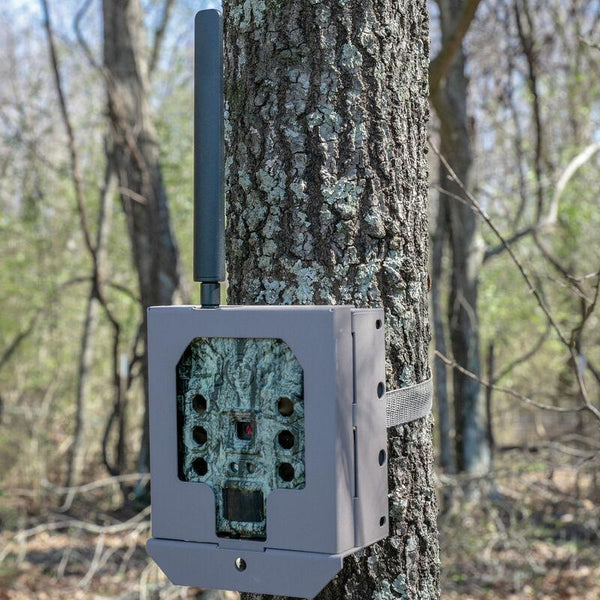 Trail Camera Accessory Security Box Cellular Tan