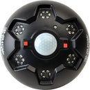 AMERICAN HUNTER HOG LIGHT