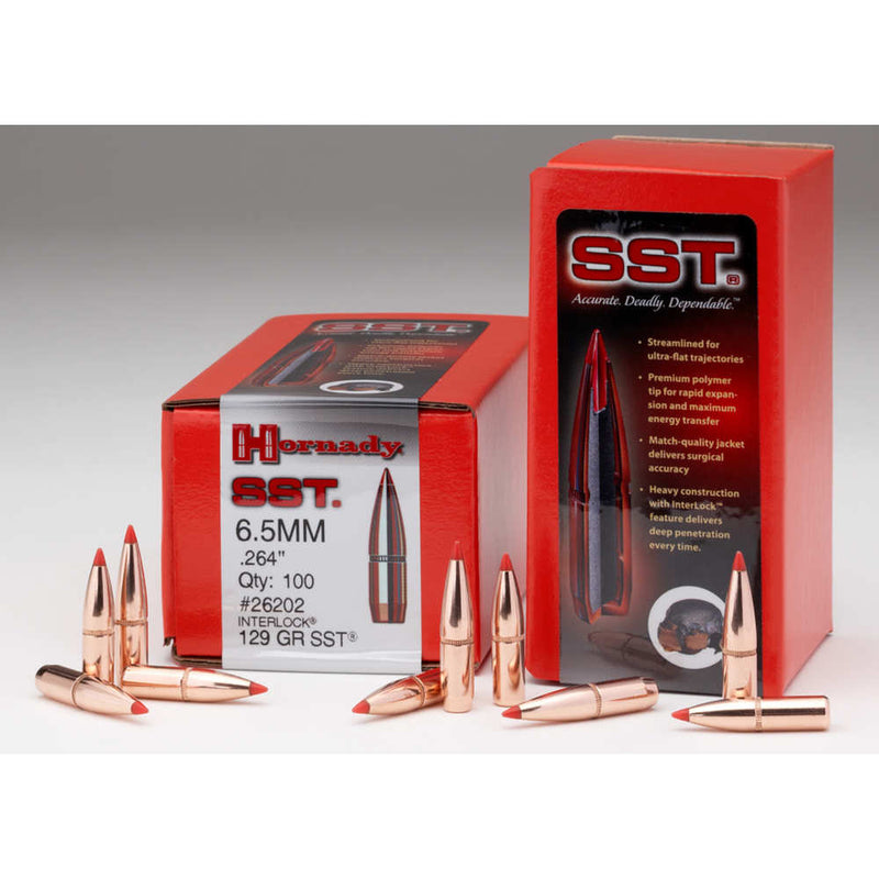 BULLET 6MM 243 95 GR SST 100/BX