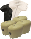 MOJO MINI FLAGS CANADA/SNOW