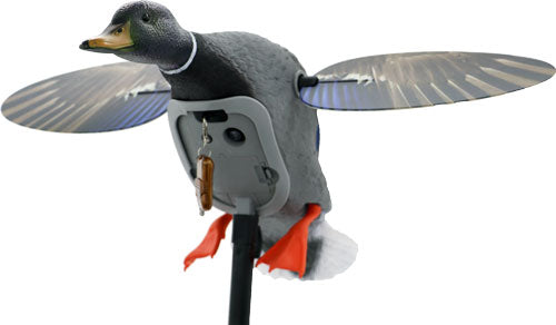 MOJO KING MALLARD DRAKE DECOY