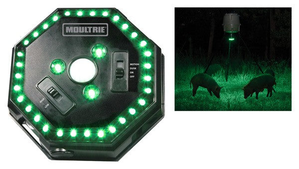 MOULTRIE FEEDER HOG LIGHT 30'
