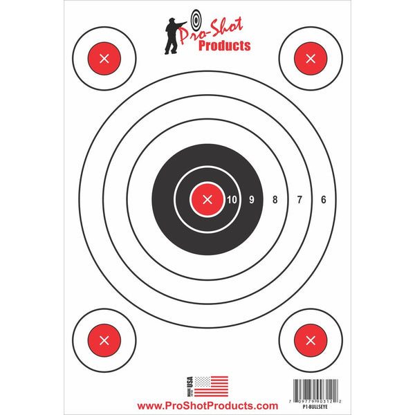 9X13 5 BULLSEYE TARGET 6 PACK