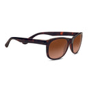 CLS NYL ANTEO SHN DARK TORT POL DRV GRD