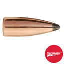 BULLETS VARMINTER 22CAL SPT 45GR 100/BX