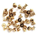 BRASS CHICAGO SCREW 24PK