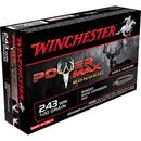 PWR MAX 243 WIN 100GR PMB 20/BX