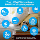 Filtrete Room Air Purifier 3-Speed for Small Rooms, Captures 99.97% of particles